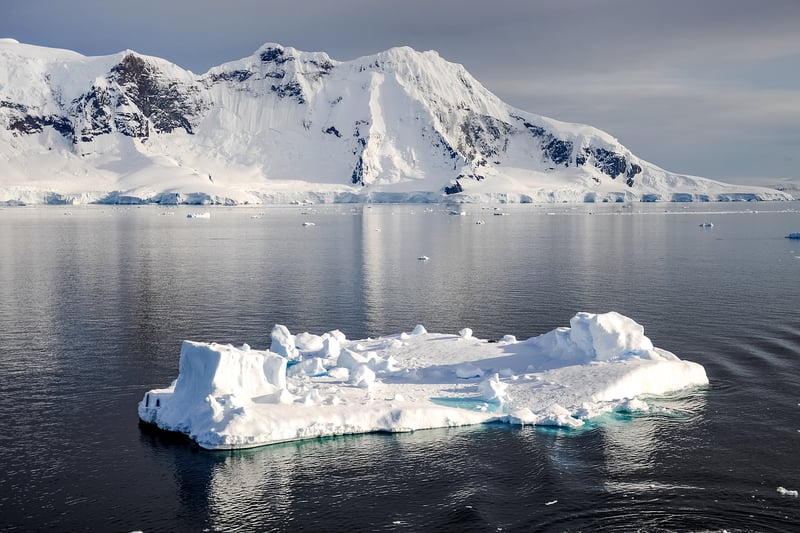 Antarctica Excursion